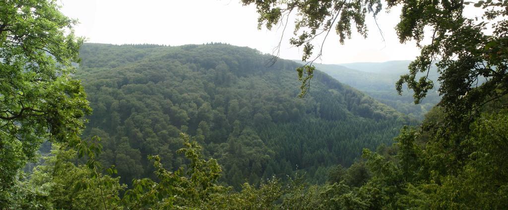 Landhotel Westerwald Ehlscheid Extérieur photo